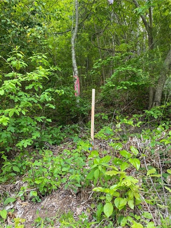Lot 81 Garnet Rd