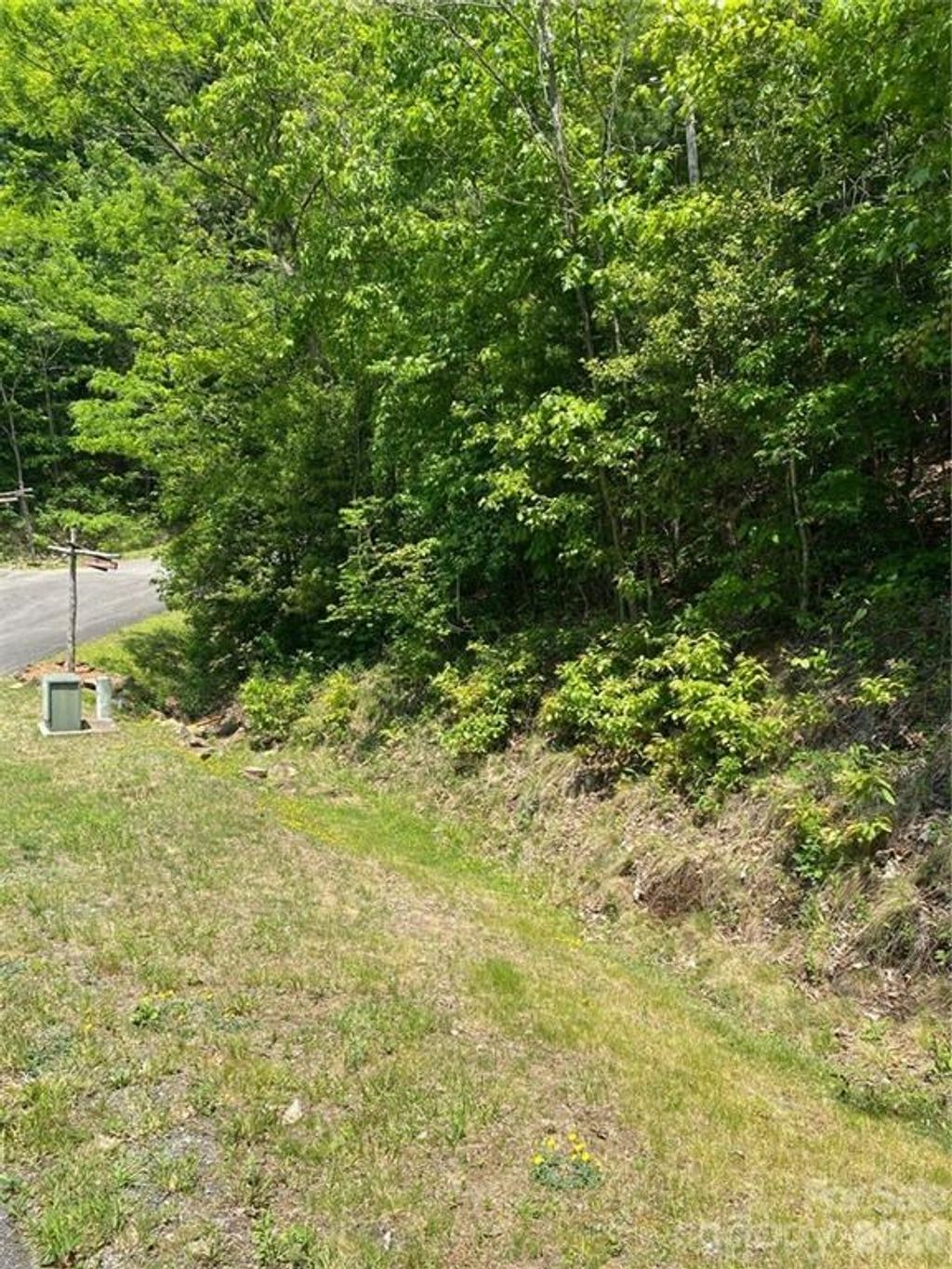 Photo of Lot 81 Garnet Rd, Sylva, NC 28779 (MLS # 26047309)