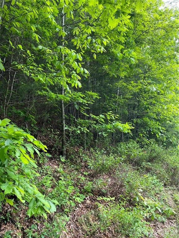 Lot 81 Garnet Rd