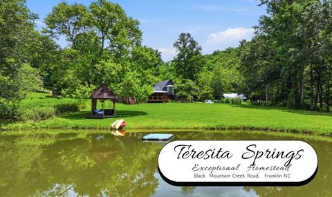 Photo of 40 Black Mountain Creek Road, Franklin, NC 28734 (MLS # 26047785)