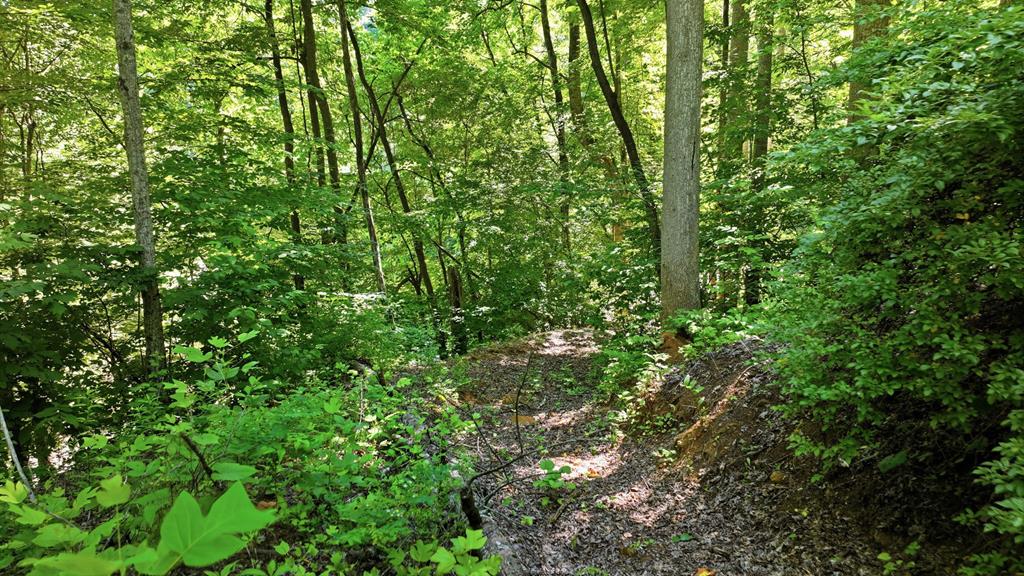 Photo of 618 Dark Ridge Road, Sylva, NC 28779 (MLS # 26047625)