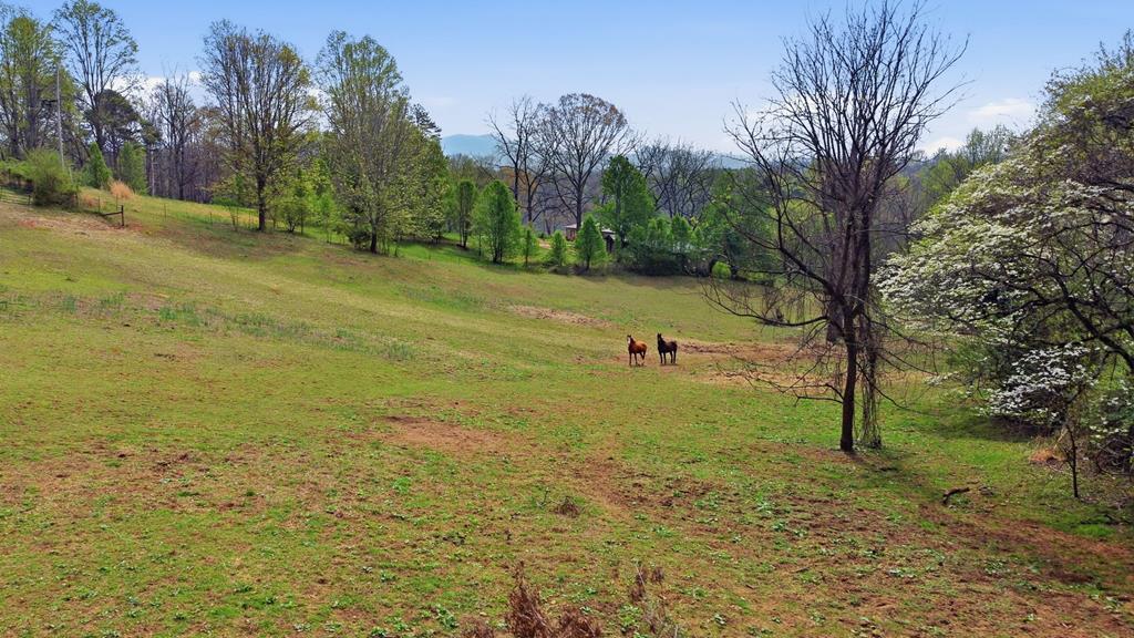 337 Town Mountain Rd