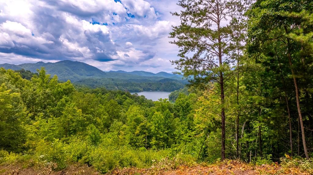 Photo of 87-3 Eagles Flight, Bryson City, NC 28713 (MLS # 26041856)