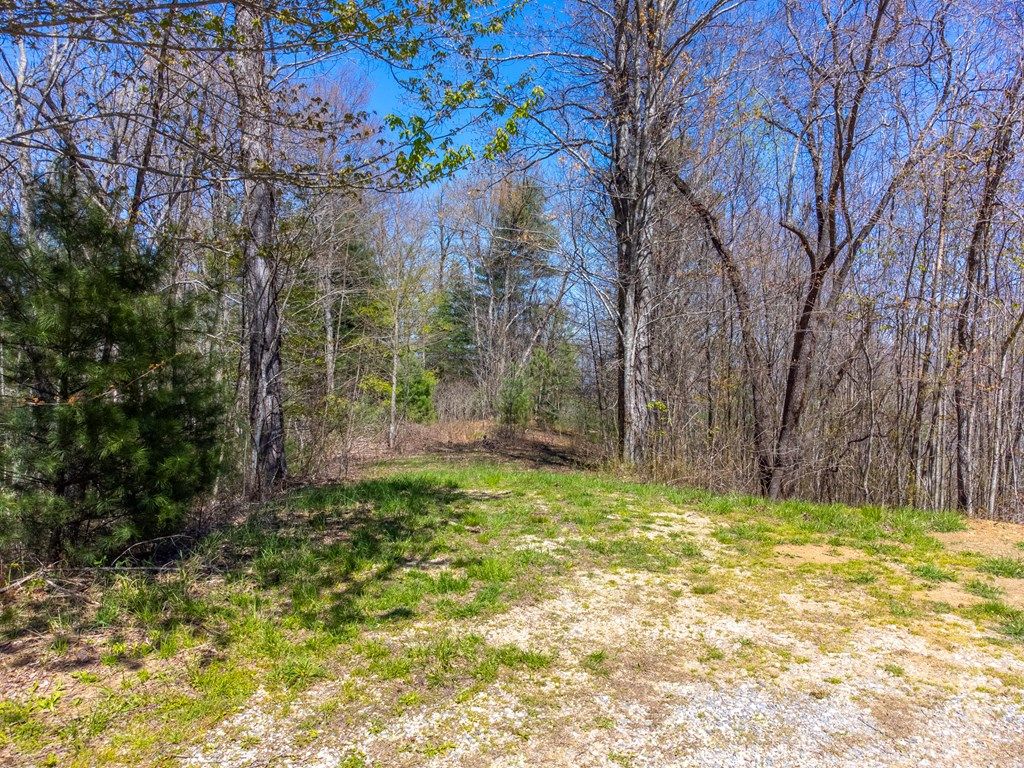 Photo of Lot 32 Fontana Trace, Almond, NC 28702 (MLS # 26043081)