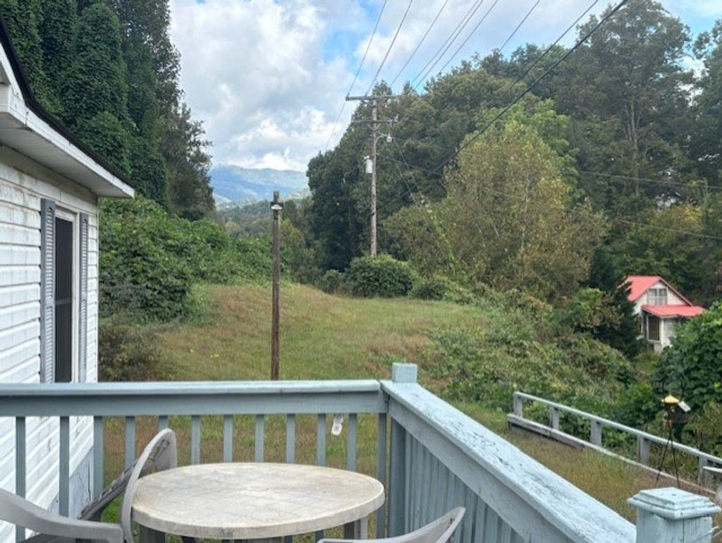 Photo of 1235 Jenkins Branch Rd N, Bryson City, NC 28713 (MLS # 26042356)