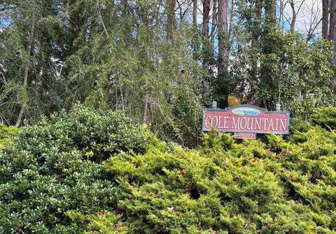 Photo of Lot 17 Blue Cedar Rd, Sylva, NC 28779 (MLS # 26042753)