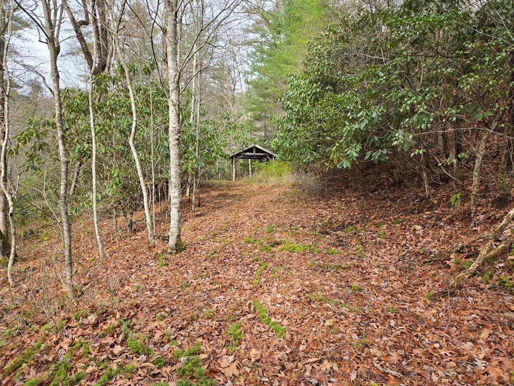 Photo of Tuckasegee, NC 28783 (MLS # 26042834)