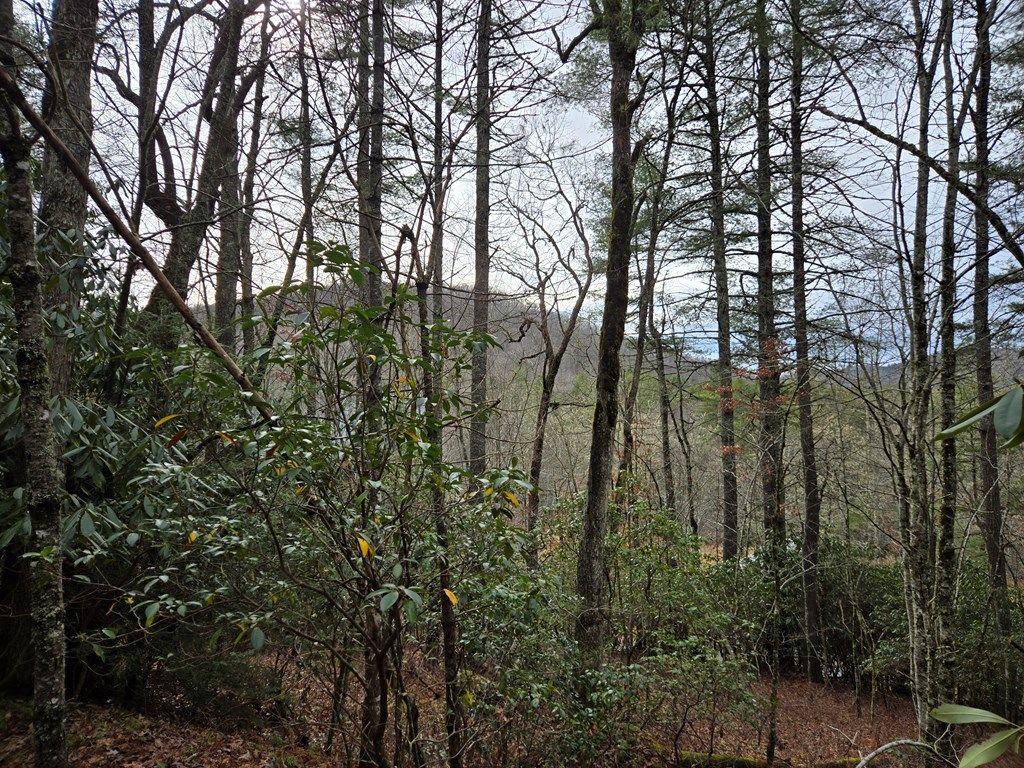 Photo of Tuckasegee, NC 28783 (MLS # 26042834)