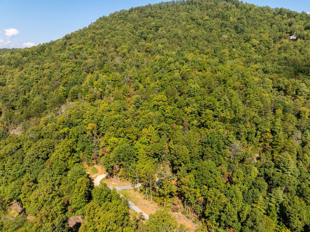 Photo of 8888 Cedar Creek Farm Road, Tuckasegee, NC 28783 (MLS # 26042220)