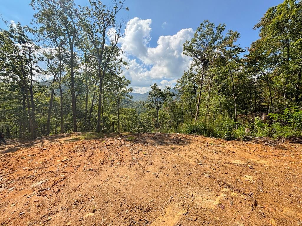 Photo of 8888 Cedar Creek Farm Road, Tuckasegee, NC 28783 (MLS # 26042220)