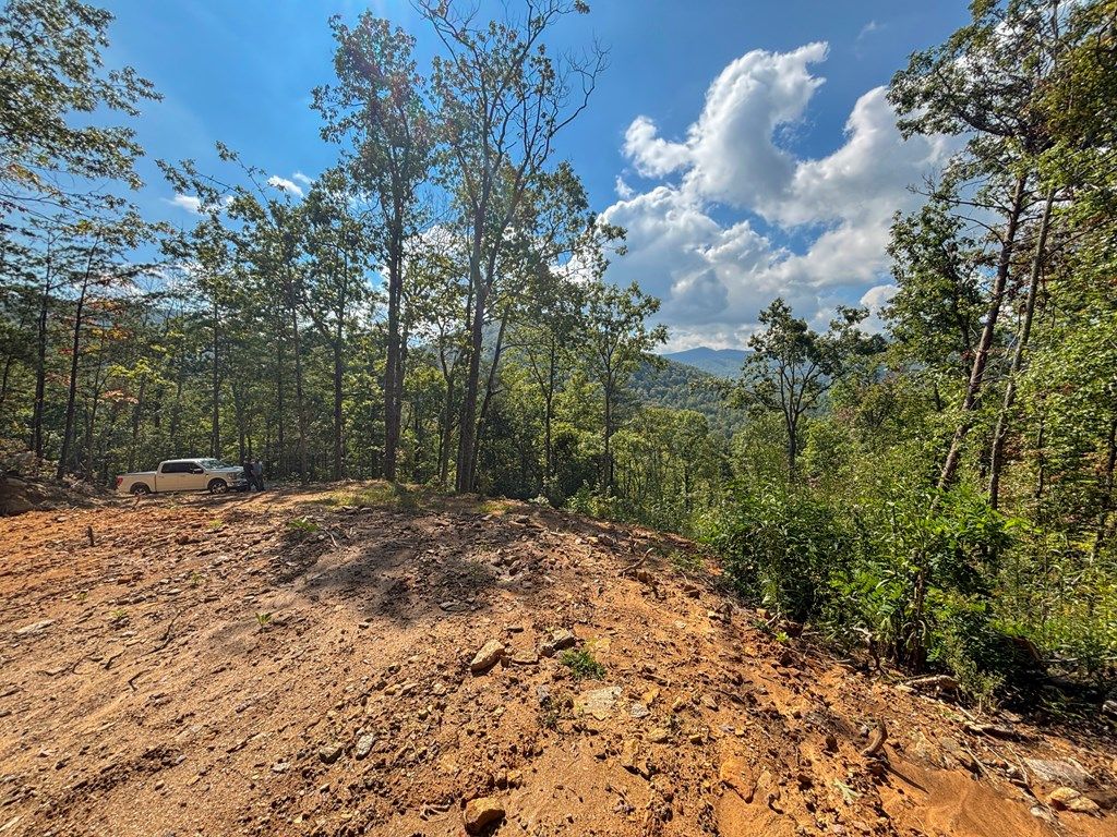 Photo of 8888 Cedar Creek Farm Road, Tuckasegee, NC 28783 (MLS # 26042220)