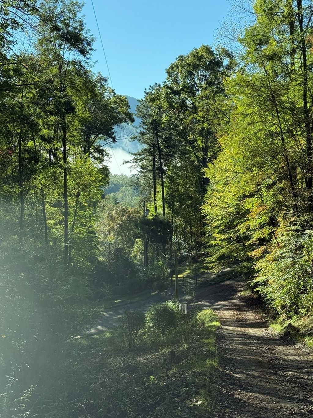 Photo of 345 Cardinal Bluff Drive, Whittier, NC 28789 (MLS # 26042762)