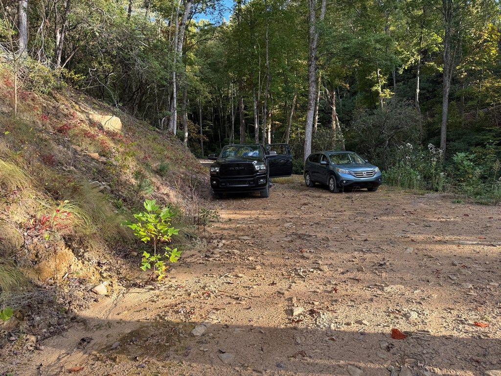 Photo of 345 Cardinal Bluff Drive, Whittier, NC 28789 (MLS # 26042762)