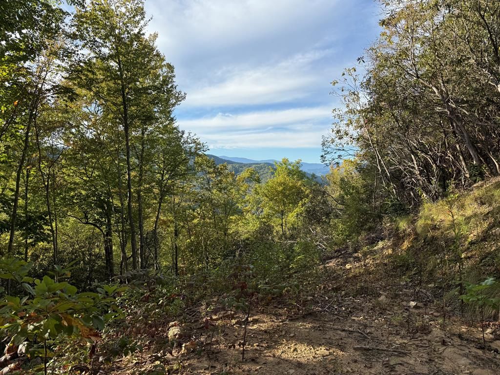 Photo of 345 Cardinal Bluff Drive, Whittier, NC 28789 (MLS # 26042762)