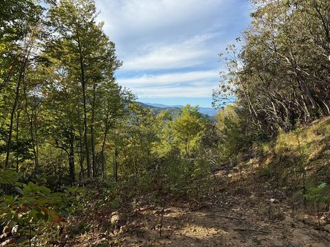 Photo of 345 Cardinal Bluff Drive, Whittier, NC 28789 (MLS # 26042762)