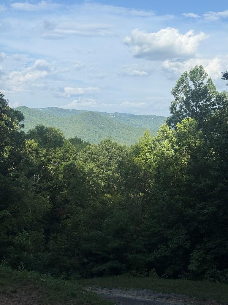 1006 Davis Road