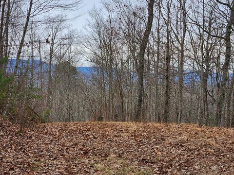 Photo of 00 Highlands Pass Trail, Franklin, NC 28734 (MLS # 26041310)