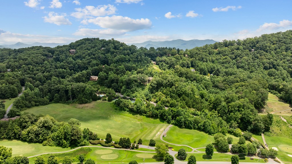 Whittier, North Carolina 28789, United States, 2 Bedrooms Bedrooms, ,2 BathroomsBathrooms,Residential,Active,179443