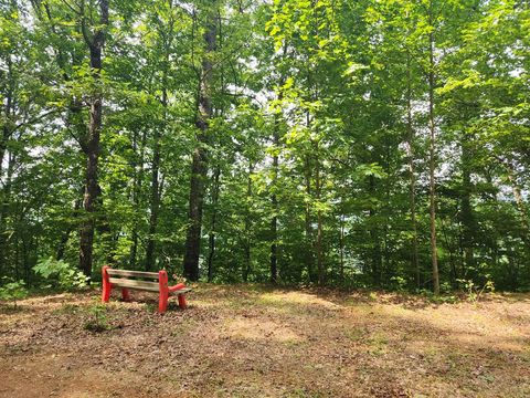 Photo of Lot 13 Little Fawn, Franklin, NC 28734 (MLS # 26046591)