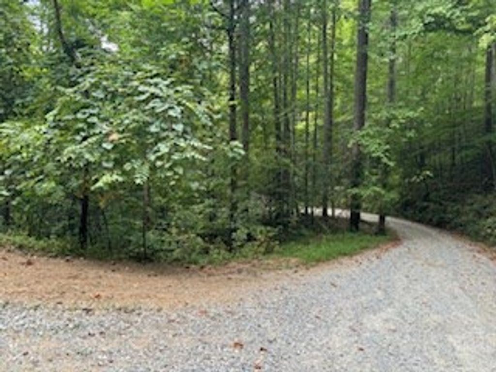 Photo of 0 Laurel Spring Dr, Bryson City, NC 28713 (MLS # 26041188)