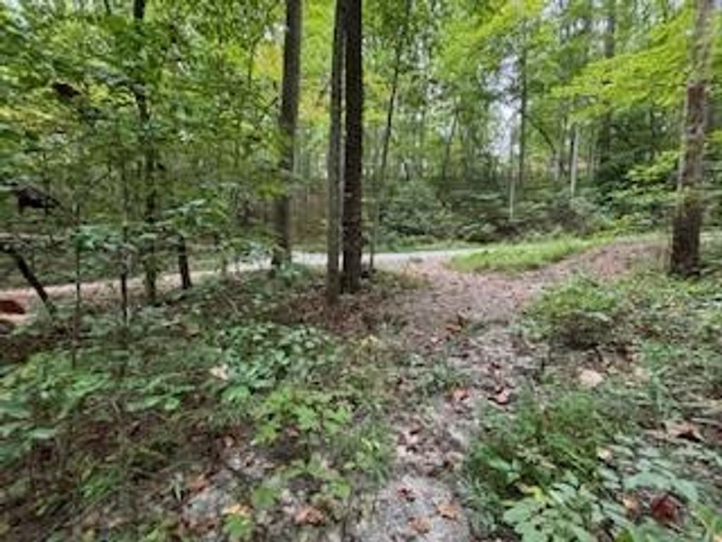 Photo of 0 Laurel Spring Dr, Bryson City, NC 28713 (MLS # 26041188)