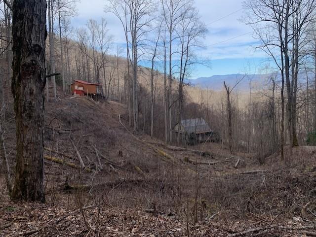 Whittier, North Carolina 28789, United States, ,Land,Active,656