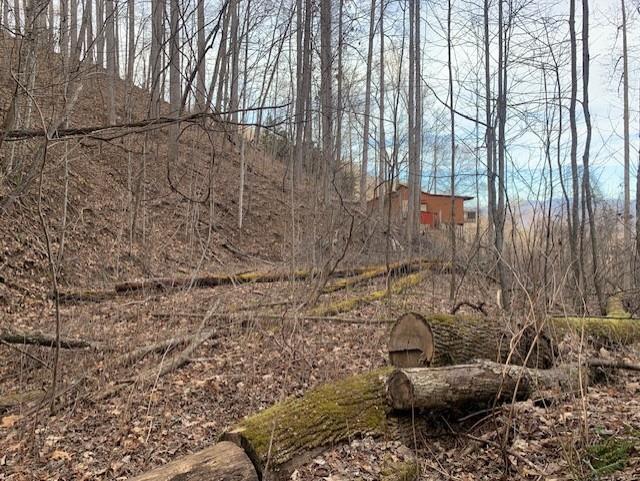 Whittier, North Carolina 28789, United States, ,Land,Active,656