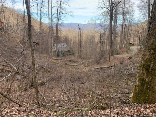 Whittier, North Carolina 28789, United States, ,Land,Active,656