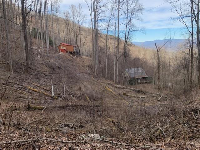 Whittier, North Carolina 28789, United States, ,Land,Active,656