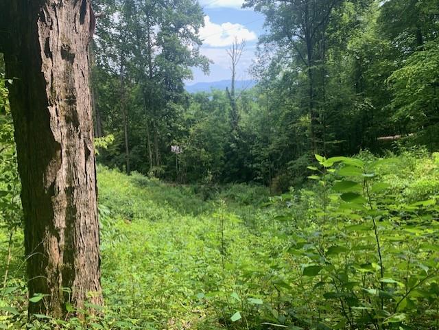 Whittier, North Carolina 28789, United States, ,Land,Active,656