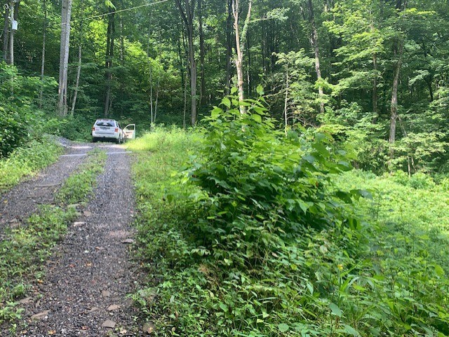 Whittier, North Carolina 28789, United States, ,Land,Active,656