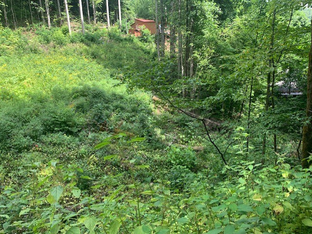 Whittier, North Carolina 28789, United States, ,Land,Active,656