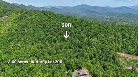 Photo of 443 Butterfly Blvd, Franklin, NC 28734 (MLS # 26042369)