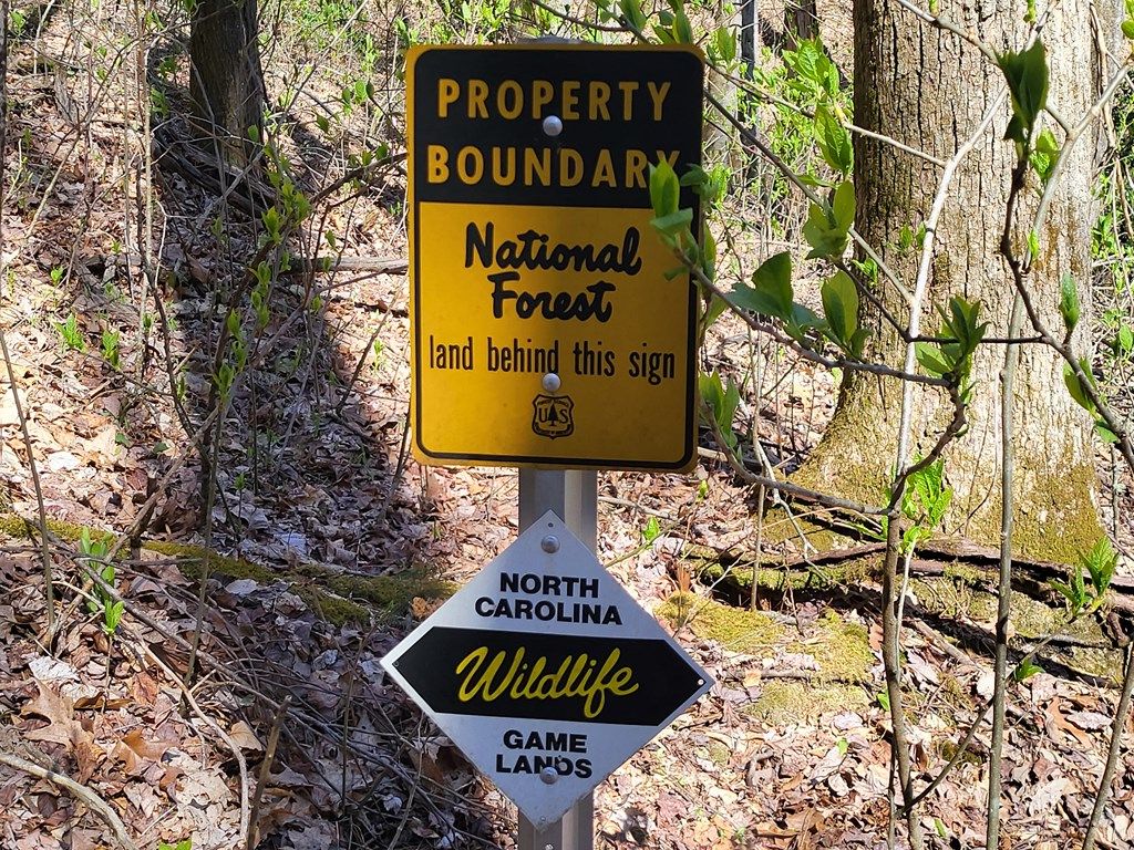 Photo of TBD Shell Stand Road, Robbinsville (Graham), NC 28771 (MLS # 26042059)