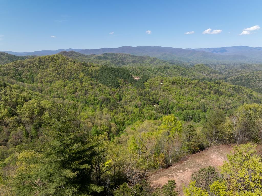 Photo of TBD Shell Stand Road, Robbinsville (Graham), NC 28771 (MLS # 26042059)