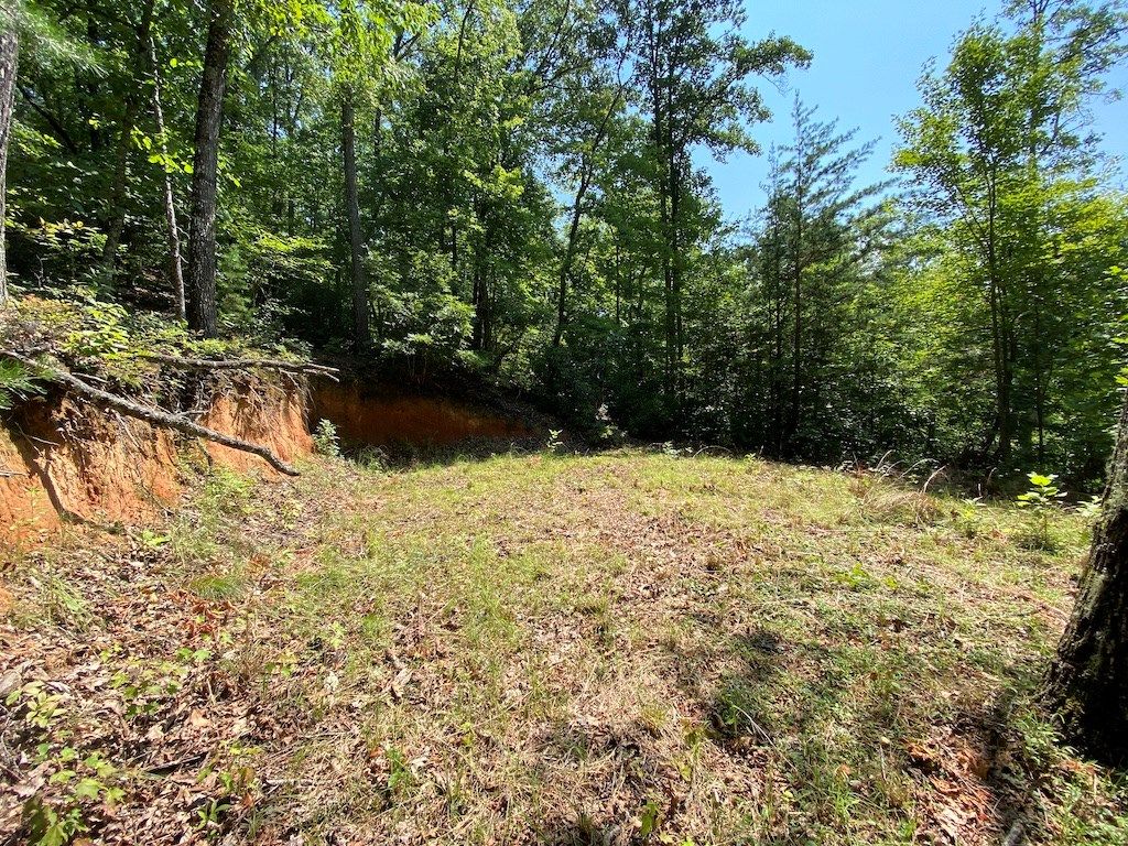 Photo of Lt 3 &amp; 4 Red Dog Ln, Whittier, NC 28719 (MLS # 26041176)