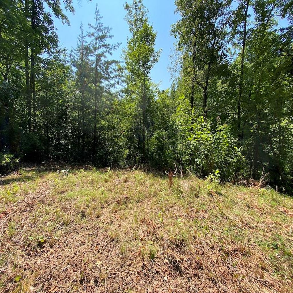 Photo of Lt 3 &amp; 4 Red Dog Ln, Whittier, NC 28719 (MLS # 26041176)