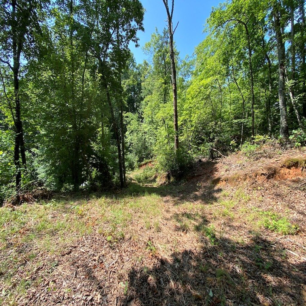 Photo of Lt 3 &amp; 4 Red Dog Ln, Whittier, NC 28719 (MLS # 26041176)