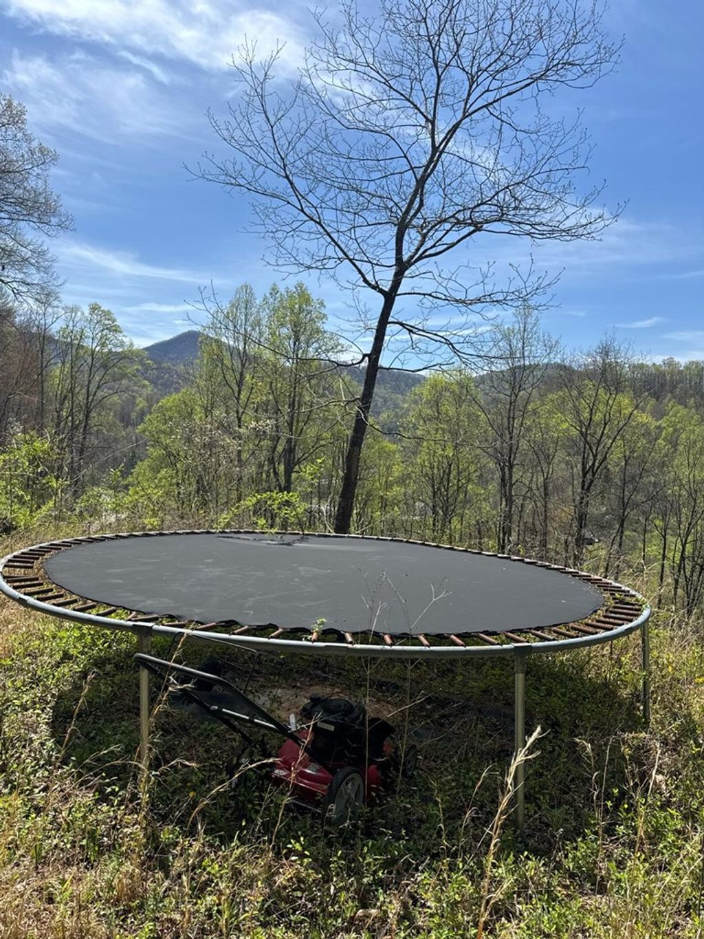 Photo of 6175 Skyland Dr, Sylva, NC 28779 (MLS # 26042843)