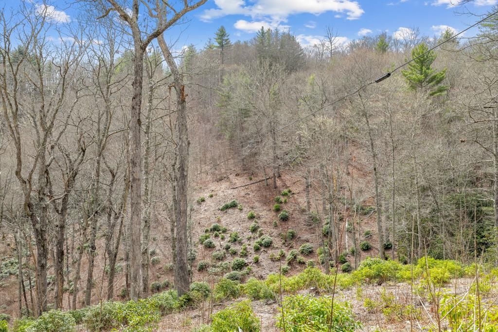 Photo of 580 Robinson Creek Rd, Glenville, NC 28736 (MLS # 26046751)