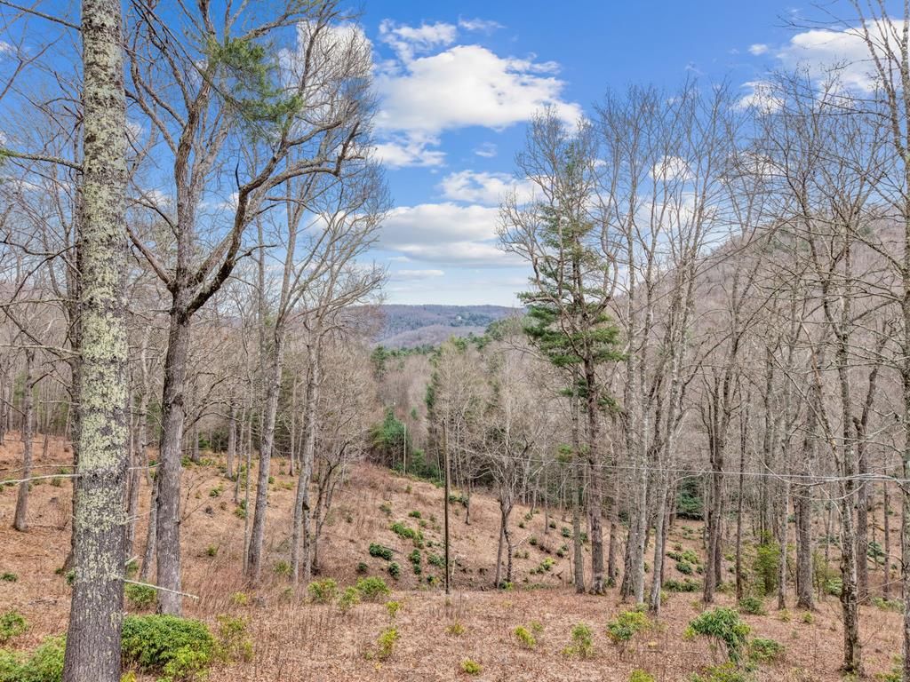 Photo of 580 Robinson Creek Rd, Glenville, NC 28736 (MLS # 26046751)