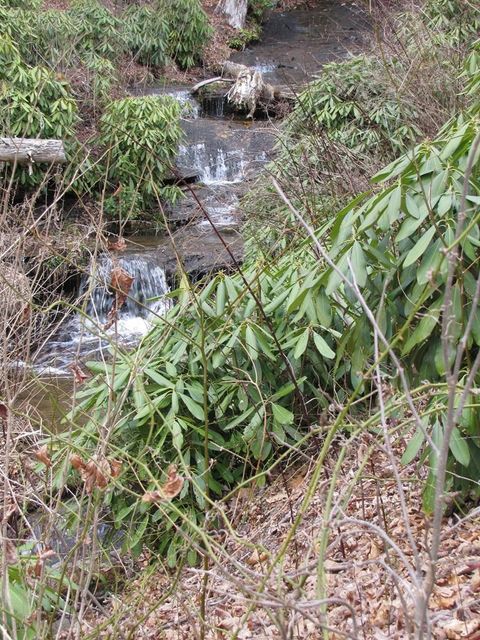 Photo of 580 Robinson Creek Rd, Glenville, NC 28736 (MLS # 26046751)