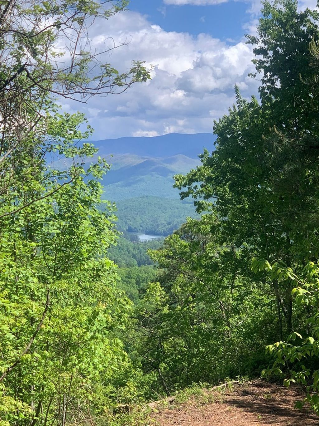 Photo of 377 Freeman Overlook, Almond, NC 28702 (MLS # 26041624)