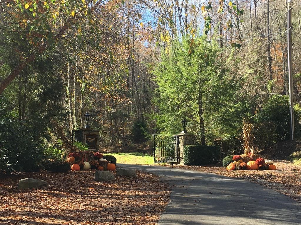 Photo of 377 Freeman Overlook, Almond, NC 28702 (MLS # 26041624)