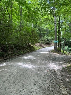 COMAN RD, FRANKLIN, NC 28734 - Image 82e24e7ae986b7a77159ce9cc79fd62c/1608028190