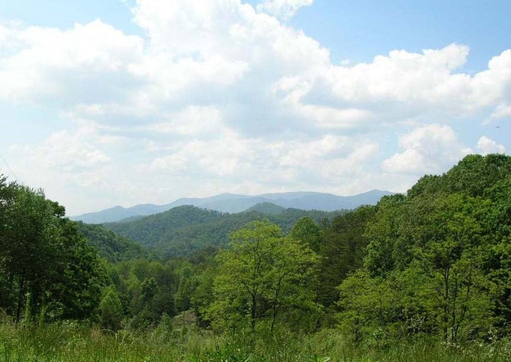 Photo of 262 Laurel Branch Cemetery Rd, Bryson City, NC 28713 (MLS # 26042445)