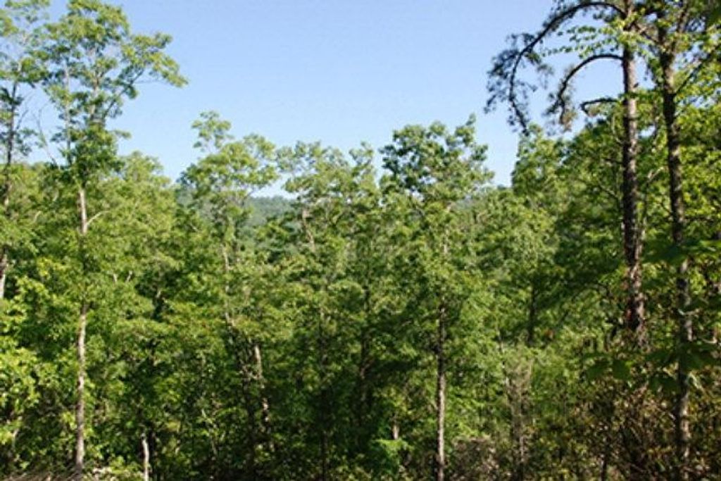 Photo of Lot 5 Flint Ridge Rd, Bryson City, NC 28713 (MLS # 26040101)