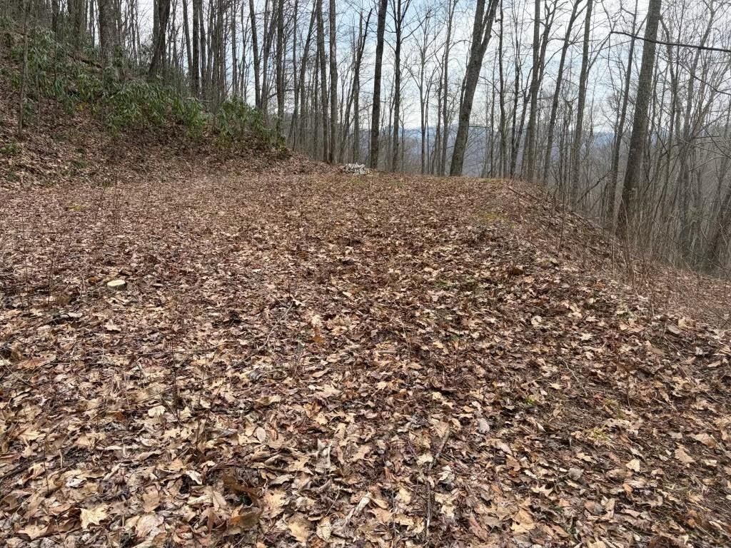 Photo of Lot 22 Long Creek Lane, Bryson City, NC 28713 (MLS # 26042847)