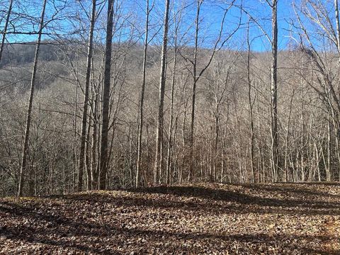 Photo of Lot 20 Long Creek Lane, Bryson City, NC 28713 (MLS # 26042847)