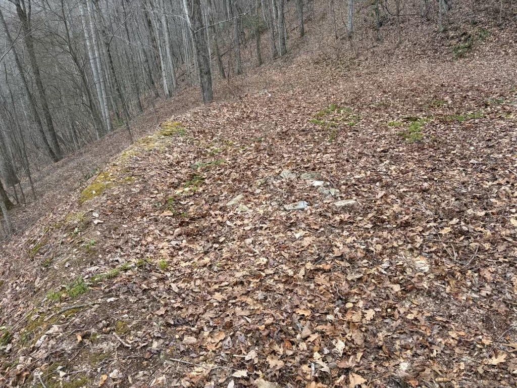 Photo of Lot 22 Long Creek Lane, Bryson City, NC 28713 (MLS # 26042847)